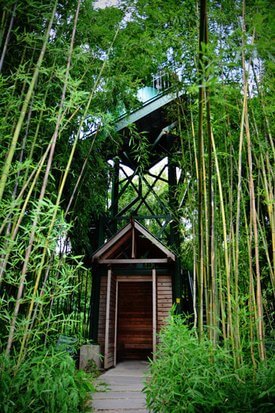 Bamboo Tower