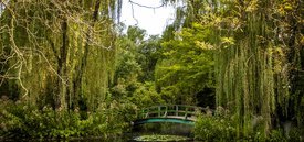 Image of Rat's Pond & Monet's Bridge