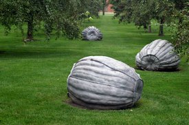 Image of John Ruppert's 'Pumpkins'